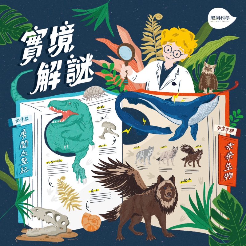 白堊紀